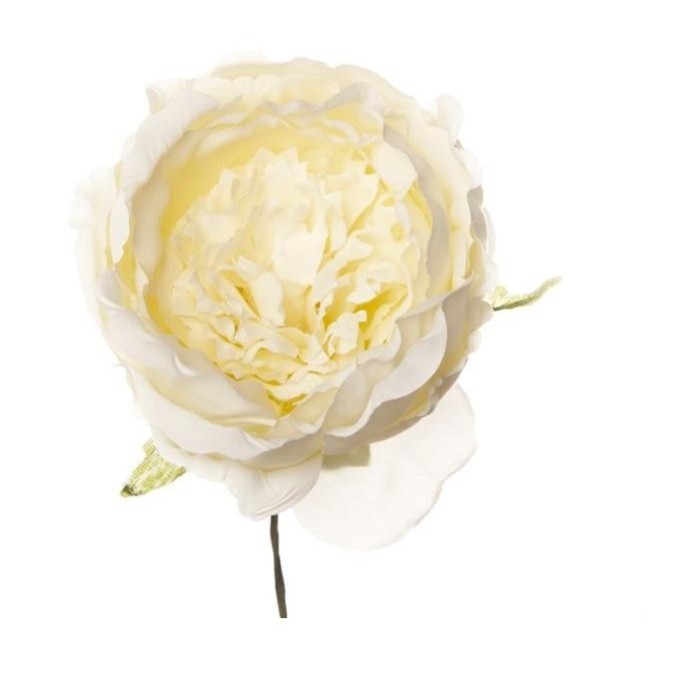 PICK PEONIA D 7 CM CREMA